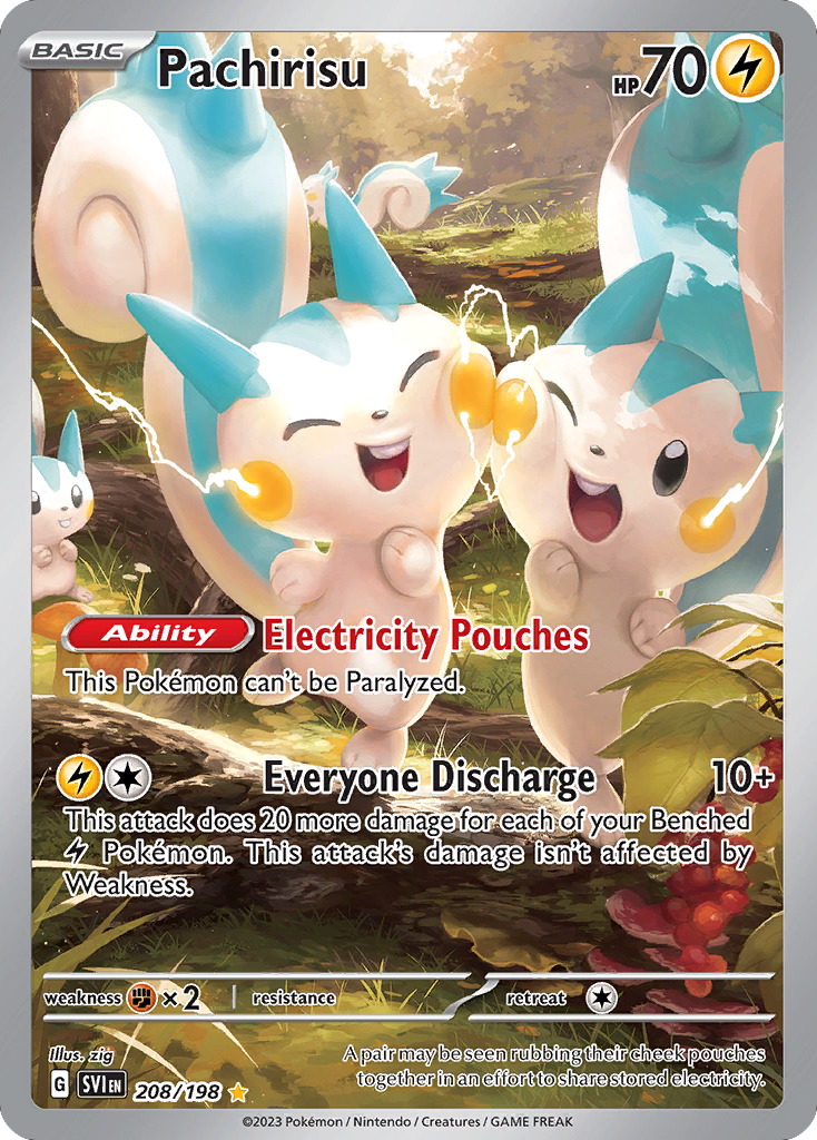 208/198 - Pachirisu