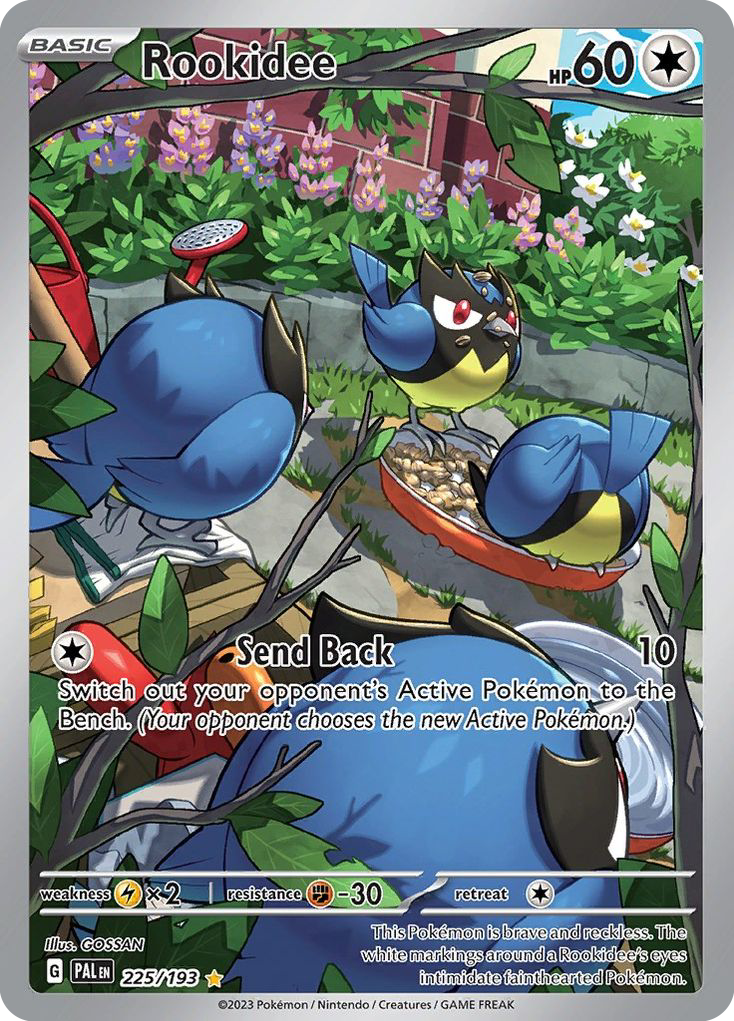 225/193 - Rookidee