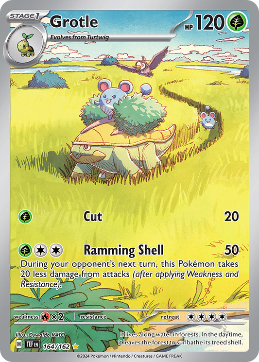 164/162 - Grotle