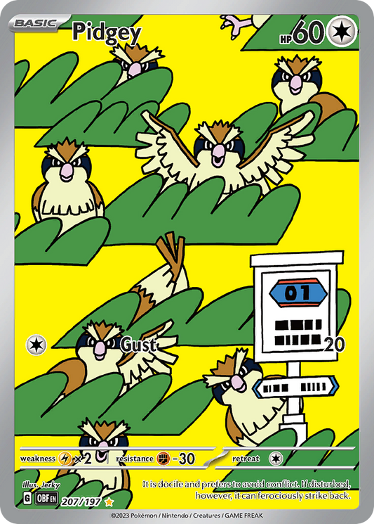 207/197 - Pidgey