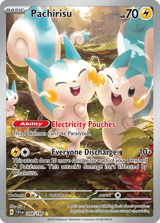 208/198 - Pachirisu