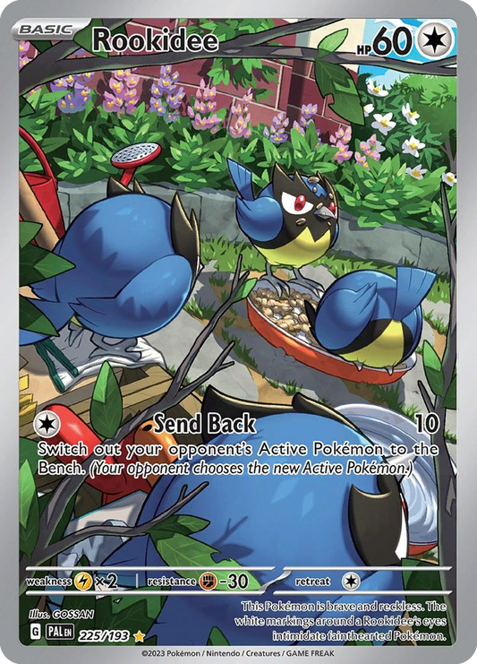 225/193 - Rookidee